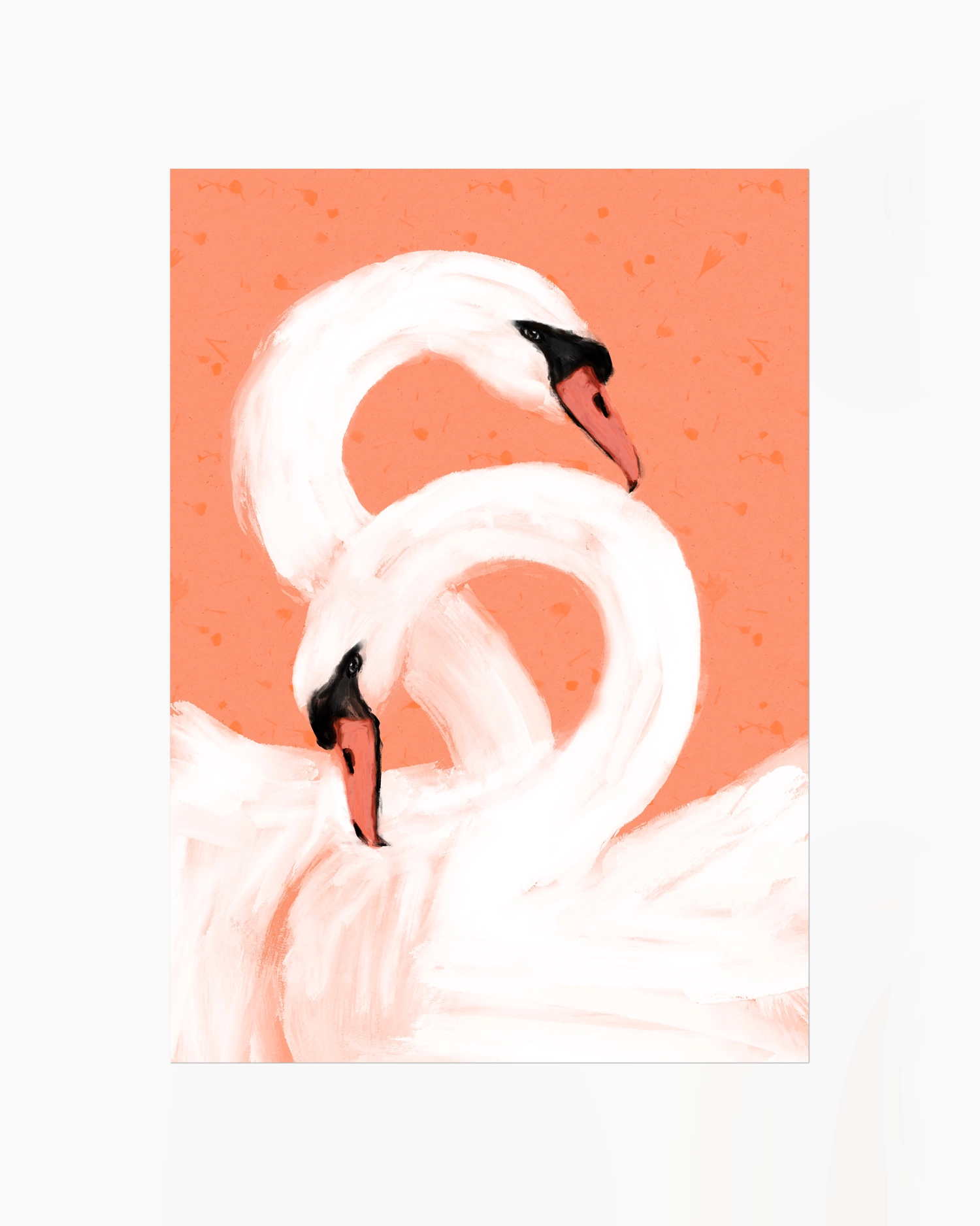 Two white swans forming a heart shape on a coral background