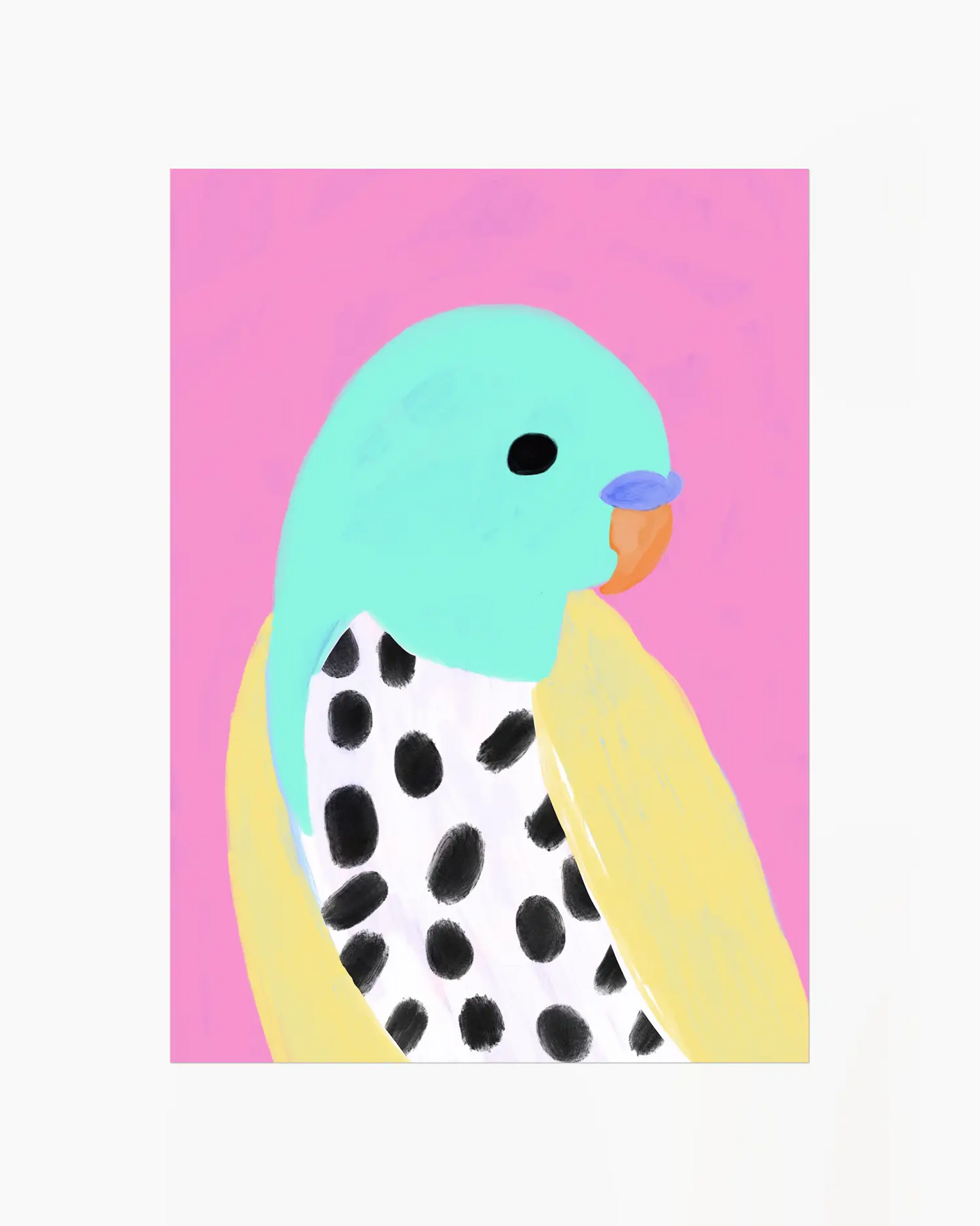 Colorful bird illustration on a pink background