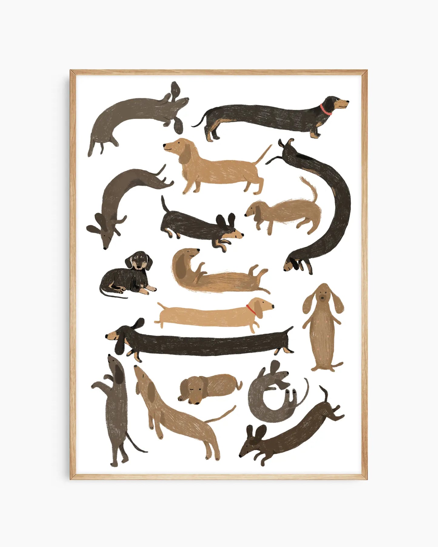 Framed artwork of various dachshund illustrations on a white background